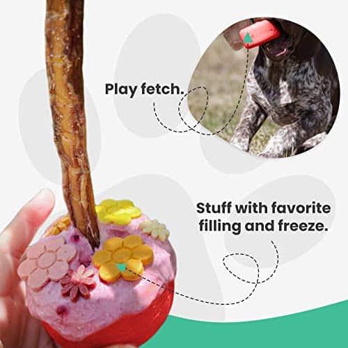 Juguete para Perros Bully Grip - Tamaño Grande - Porta - Imagen 6