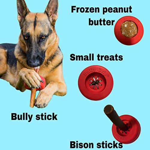 Juguete para Perros Bully Grip - Tamaño Grande - Porta - Imagen 7