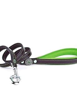 Correa de Cuero Auténtico para Perros Bestia Bijou. 43