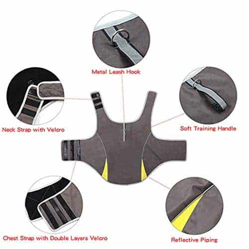 Chaleco de Calmante para Perros con Ansiedad Mantener con - Imagen 5