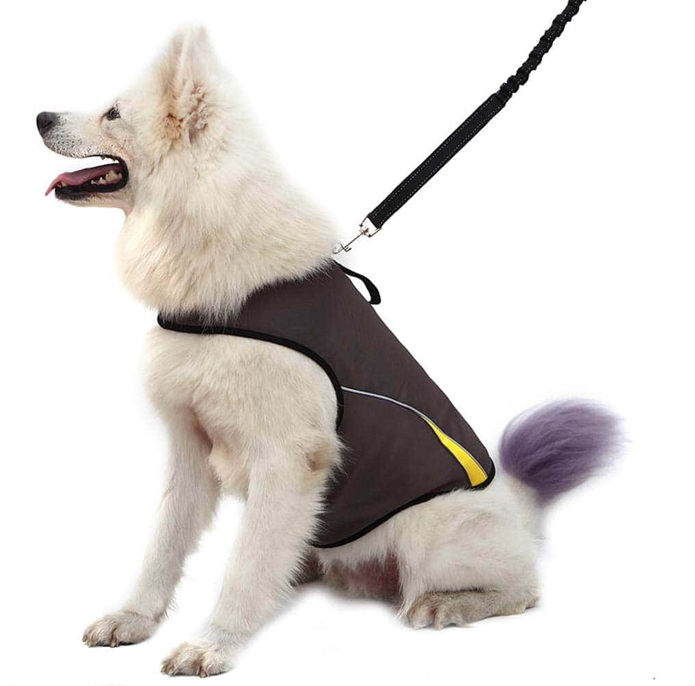 Chaqueta de Ansiedad para Perros Mantenga la Calma Chaleco