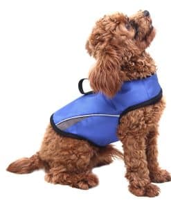 Chaleco Calmante para la Ansiedad de Perros con Anillo D y