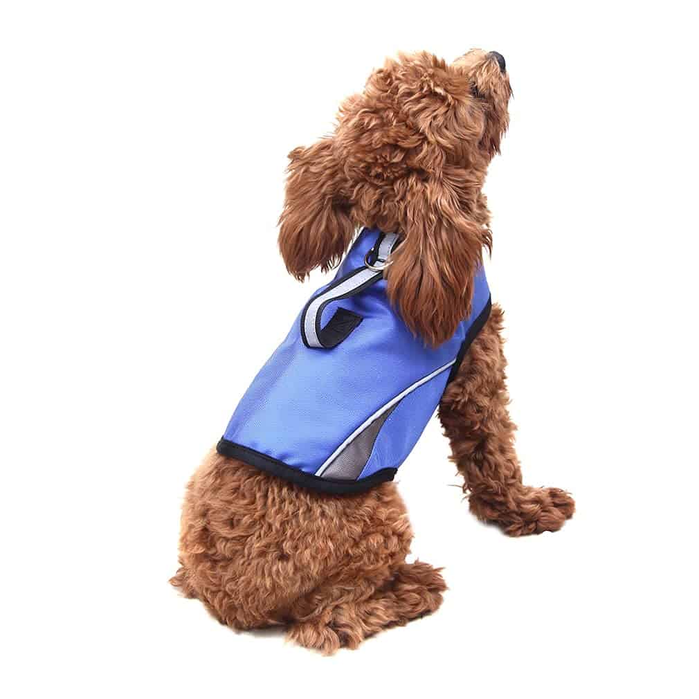 Chaleco Calmante para la Ansiedad de Perros con Anillo D y - Imagen 4