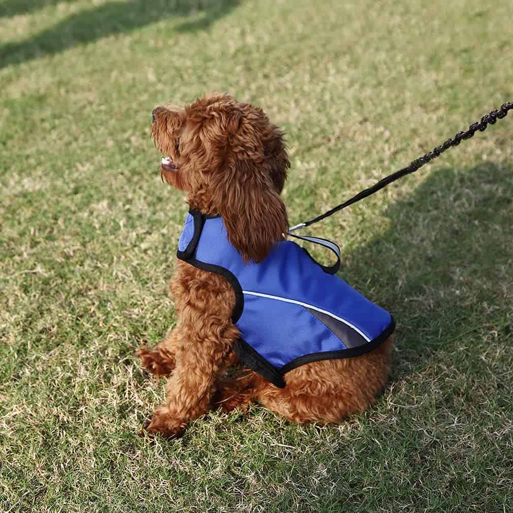 Chaleco Calmante para la Ansiedad de Perros con Anillo D y - Imagen 9