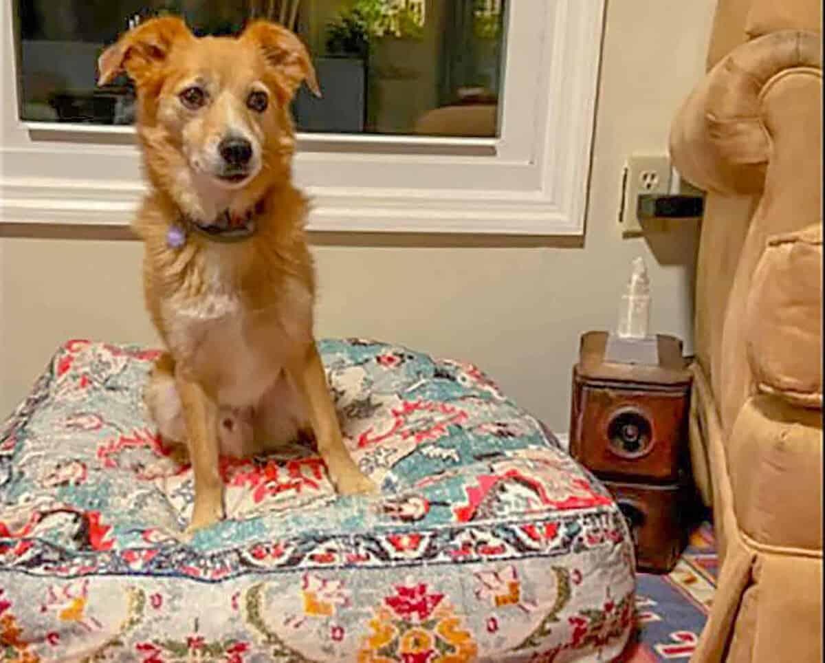 Funda grande de cojín cuadrado para el piso Meditatio? - Imagen 4