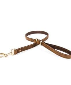 Correa clásica de cuero Oxford de EzyDog para perros -