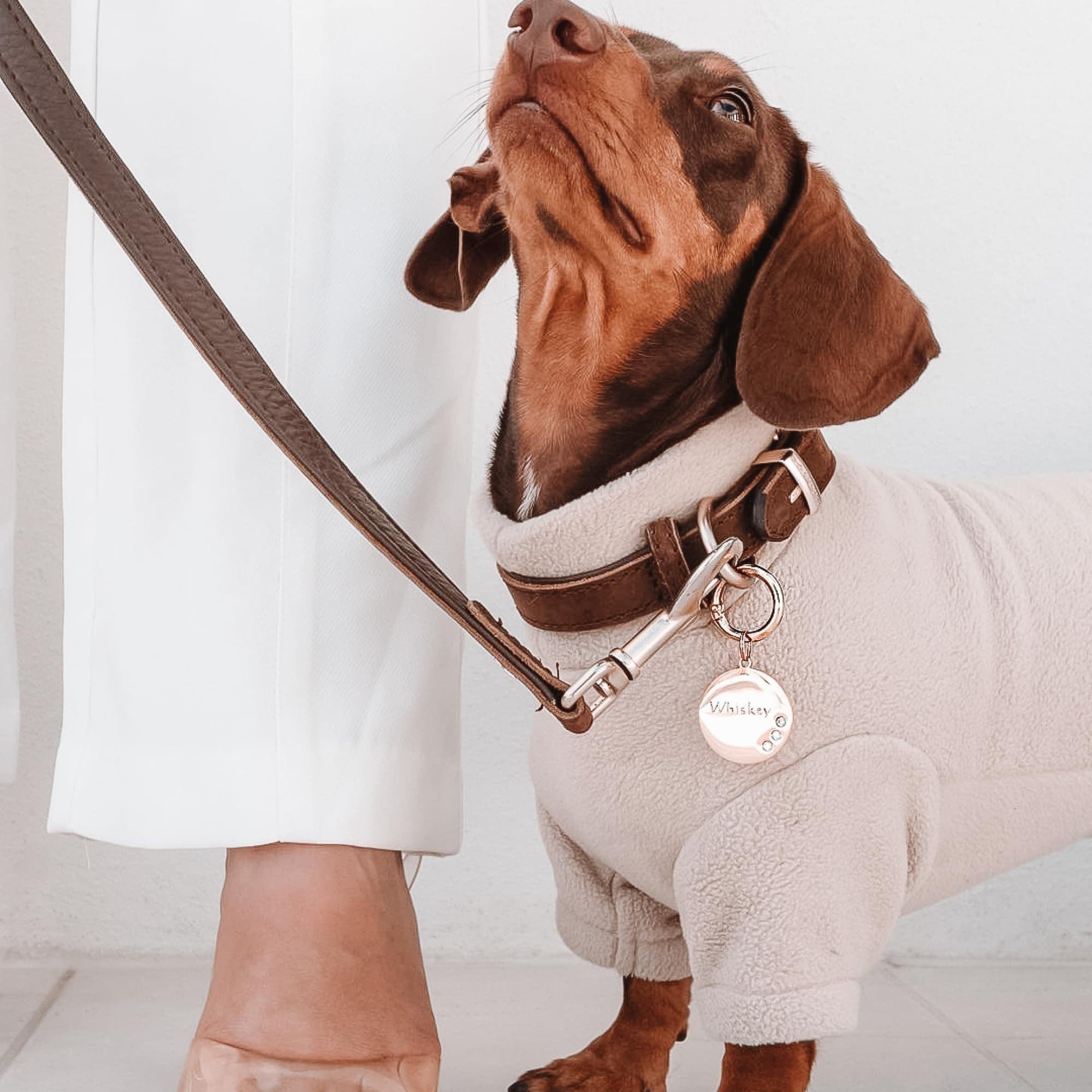 Correa clásica de cuero Oxford de EzyDog para perros - - Imagen 4