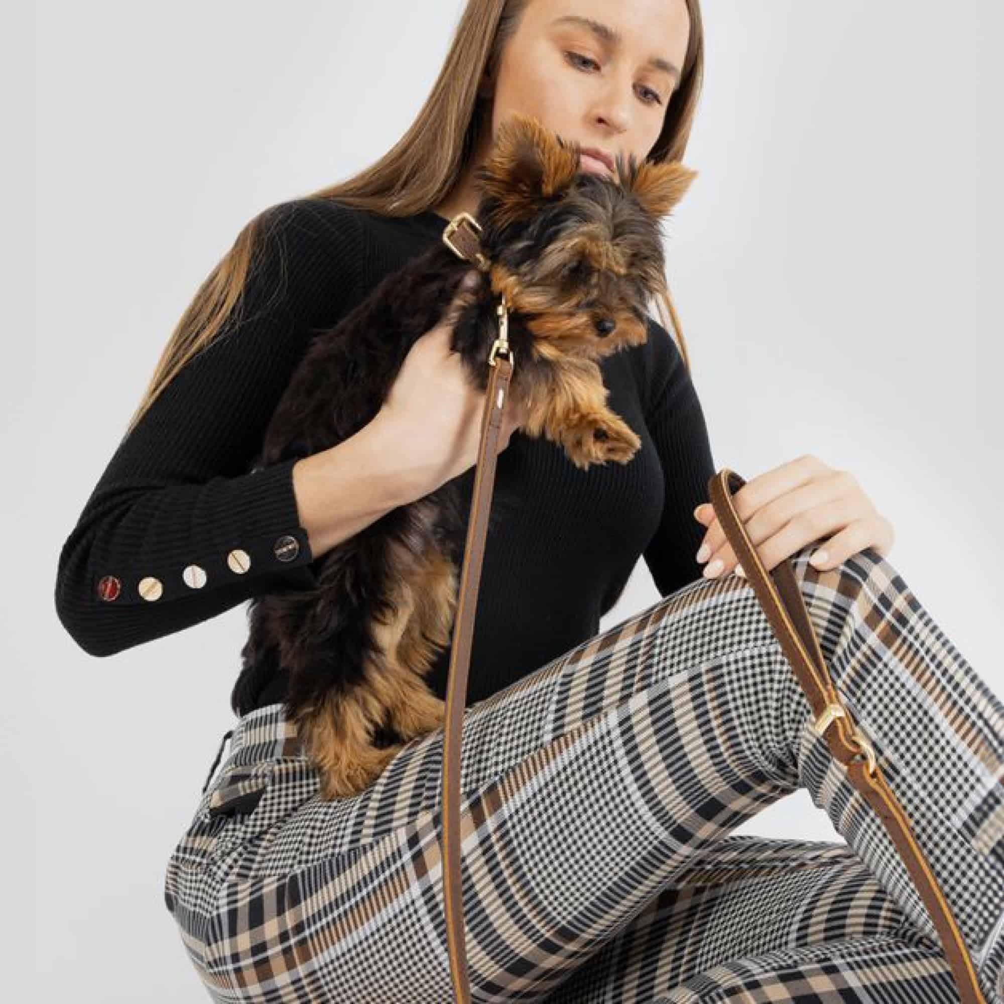 Correa clásica de cuero Oxford de EzyDog para perros - - Imagen 6