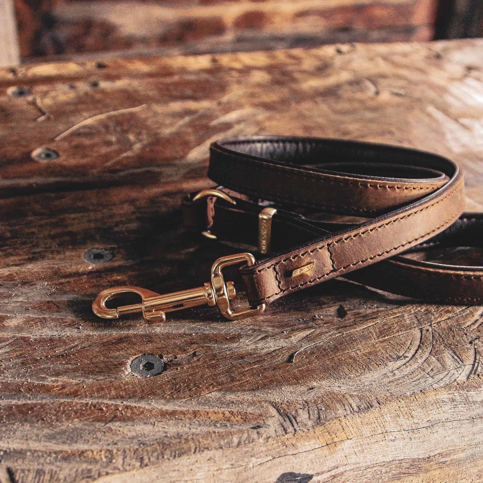 Correa clásica de cuero Oxford de EzyDog para perros - - Imagen 7