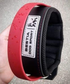 Collar Bestia Dog Sport con Mango Rojo