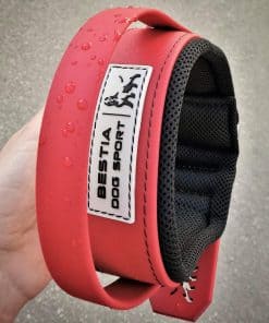 Collar de entrenamiento para perros Bestia Dog Sport con