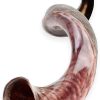 Nuevo Shofarot Israel Kosher Yemenita Kudo Kudu Shofar