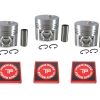 Juego de Pistón + Anillo STD para Isuzu 3KR1 X 3 PCS de