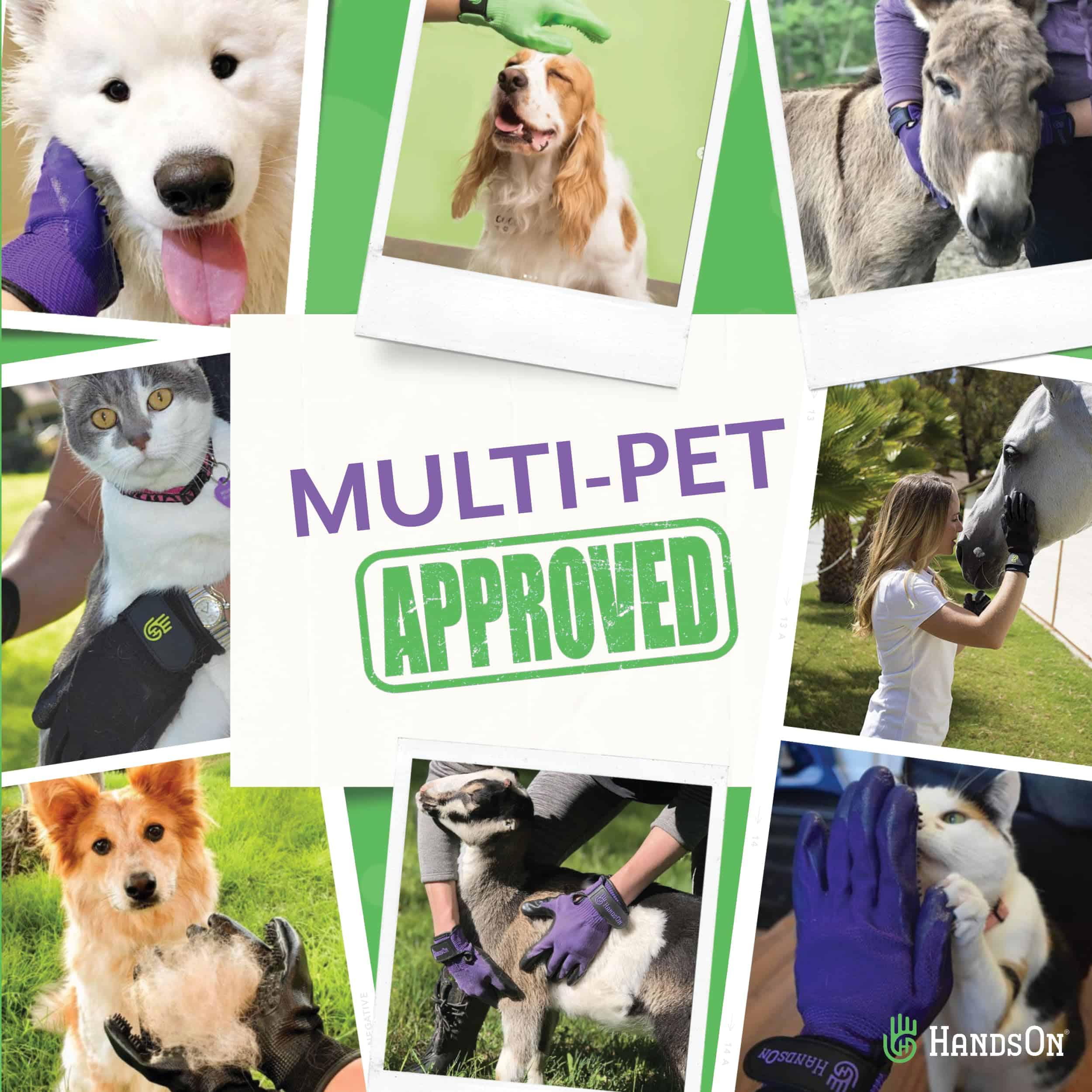 Guantes de Aseo para Mascotas HandsOn - #1 en Ranking, - Imagen 6