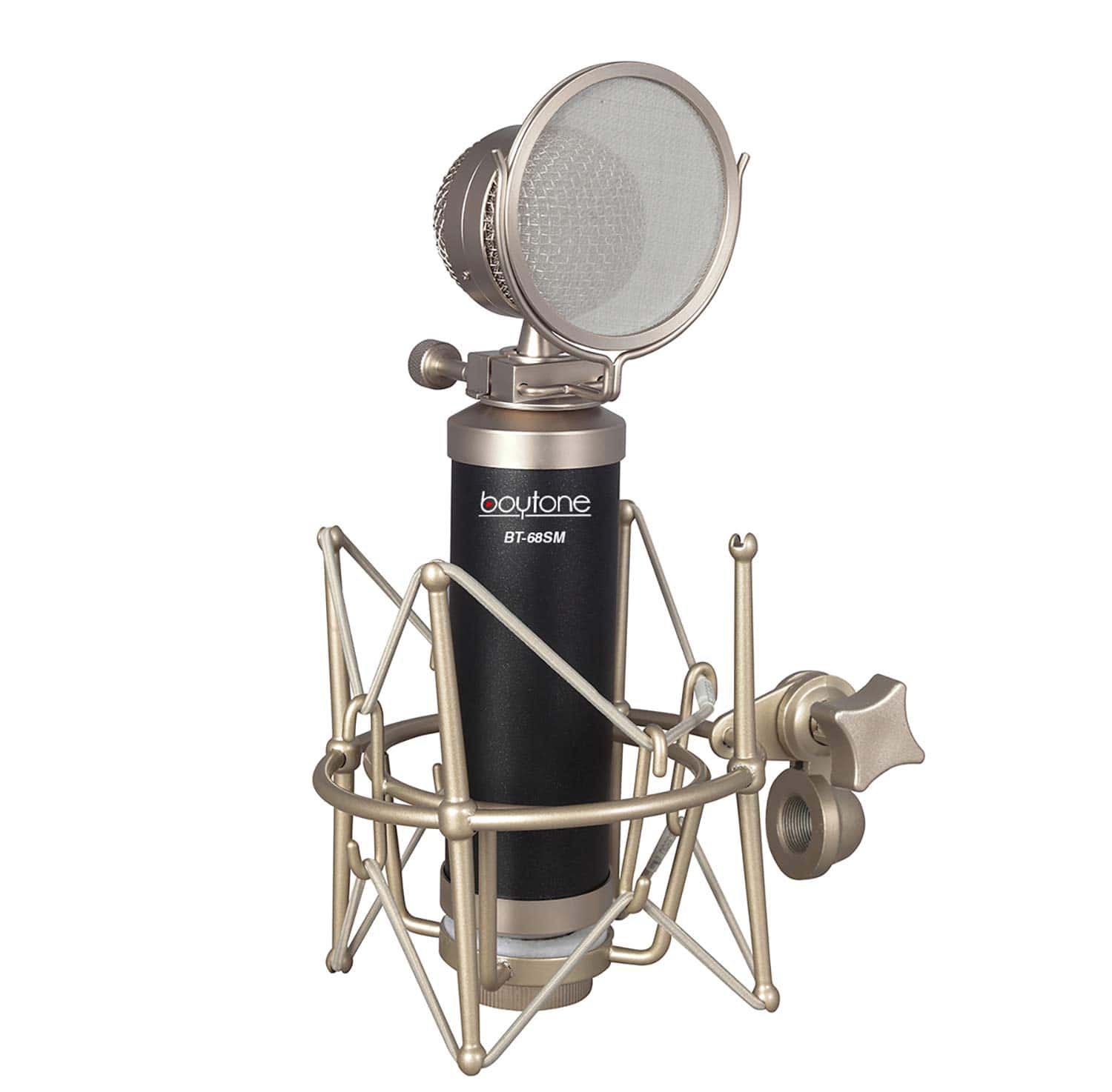 Micrófono Boytone BT-68SM Profesional de Condensador para - Imagen 4