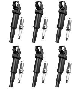 ENA Juego de 6 Bujías de Platino y 6 Bobinas de Encendido