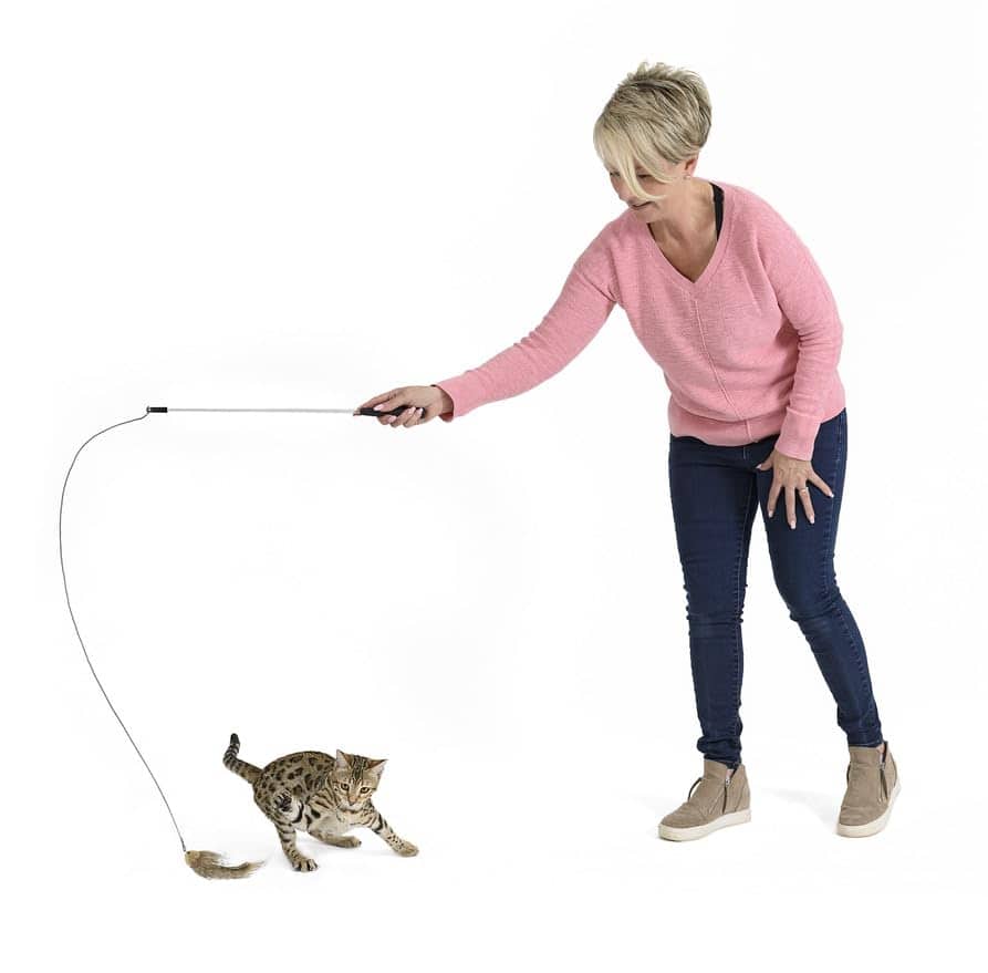 RompiCatz Serie Coleccionista de Critters Juguete - Imagen 4