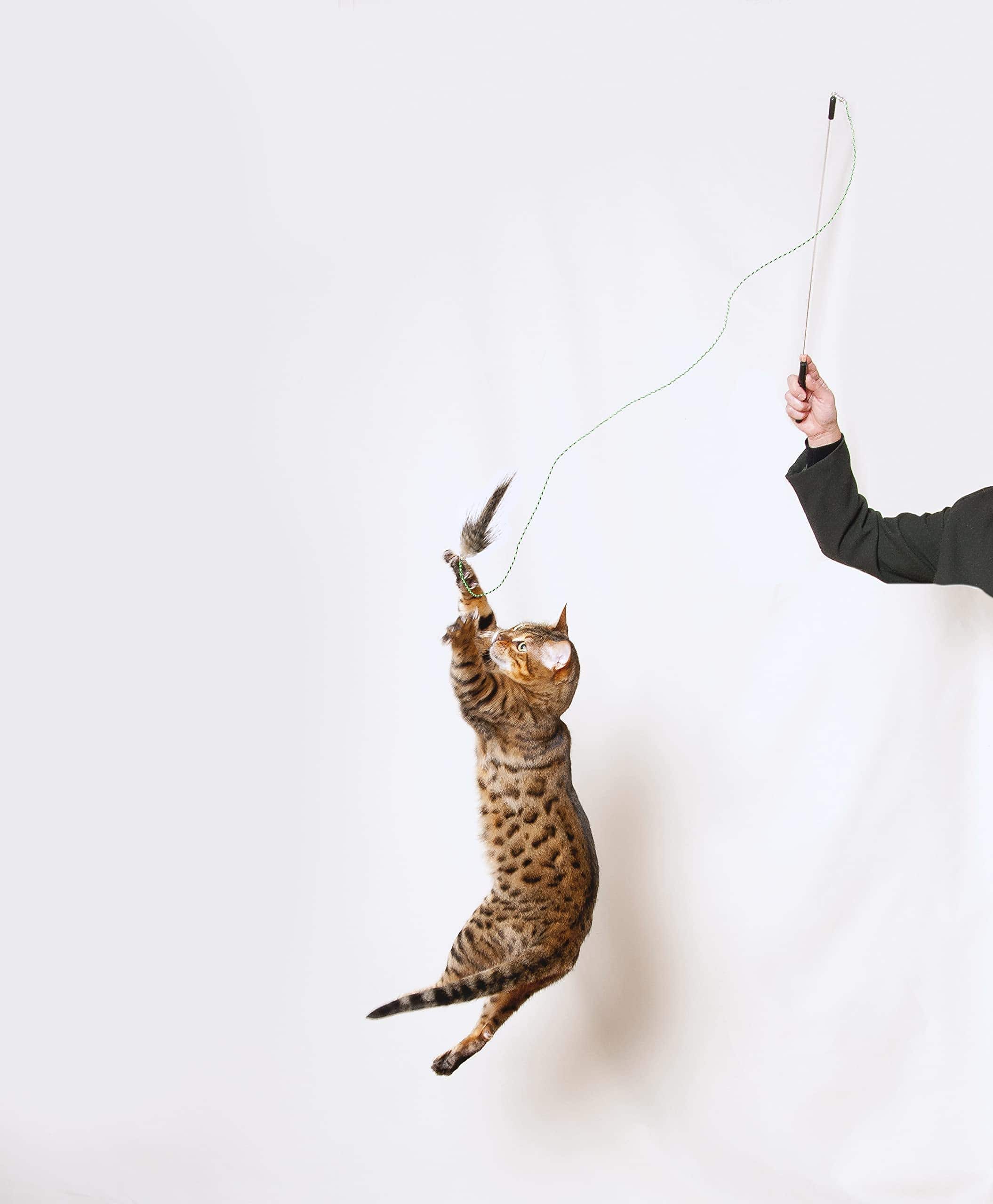 RompiCatz Serie Coleccionista de Critters Juguete - Imagen 5