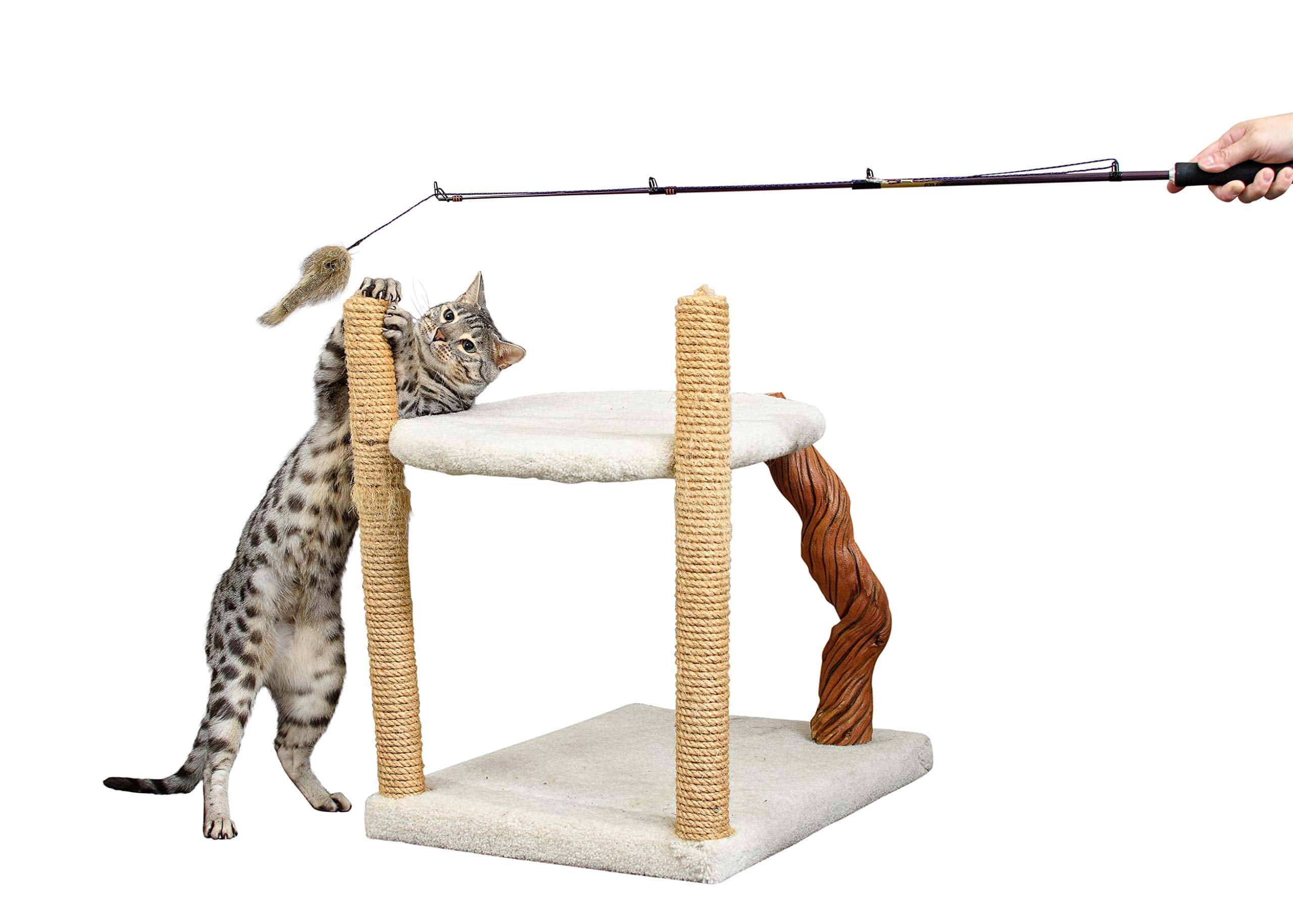 RompiCatz Serie Coleccionista de Critters Juguete - Imagen 6