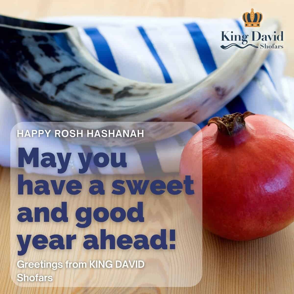 Shofar Instrumento de Cuerno de Kudu - Shofar Ángeles - Imagen 8