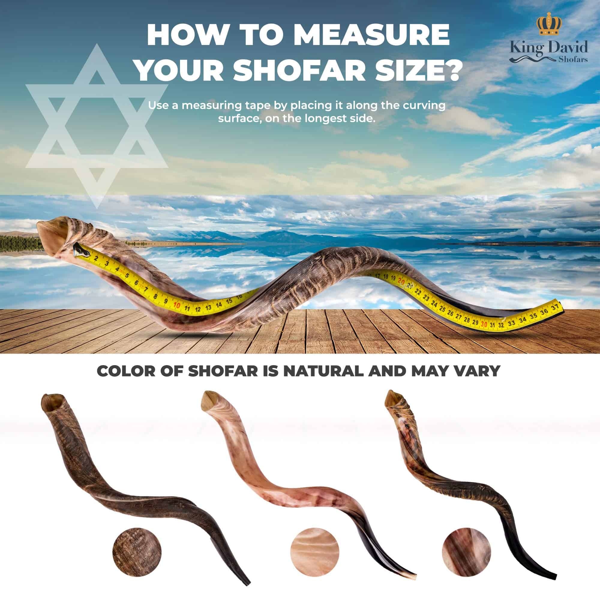 Shofar Instrumento de Cuerno de Kudu - Shofar Ángeles - Imagen 7