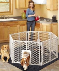 Tapetes para Perros y Cachorros Cibicon, Tapetes