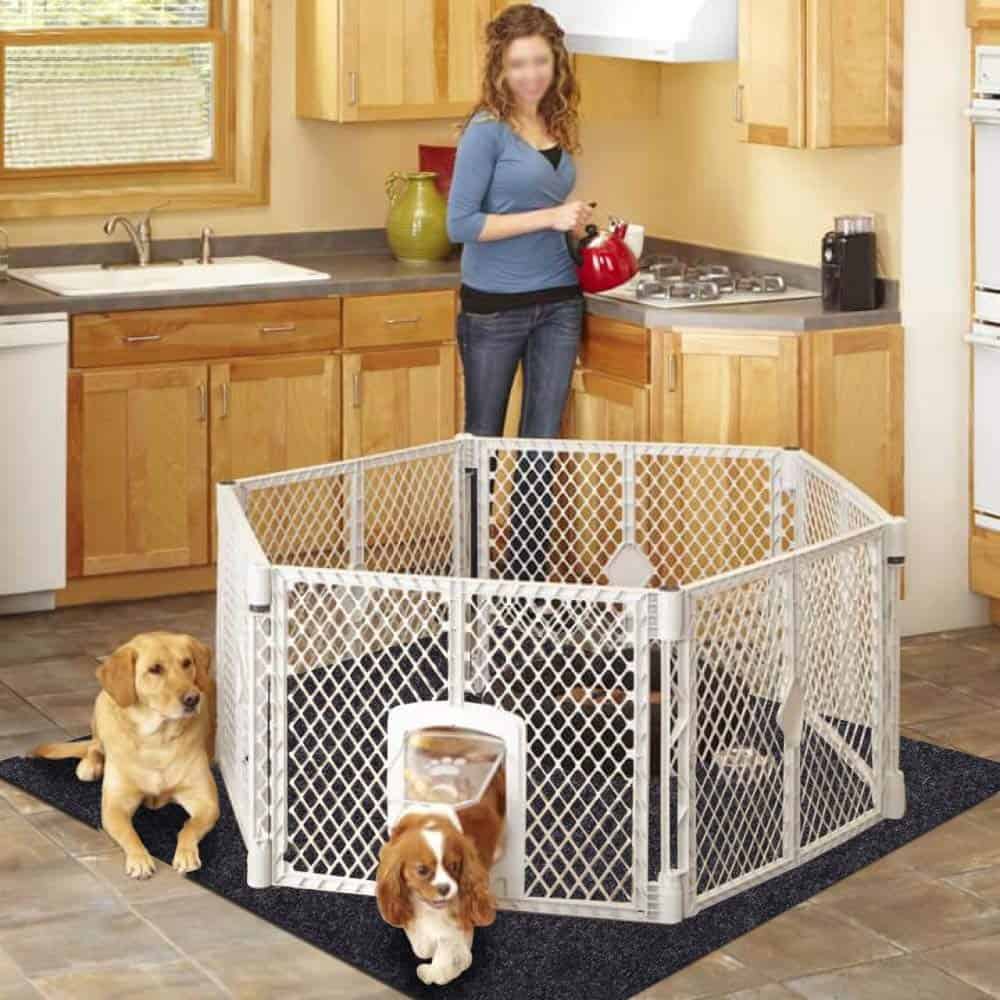 Tapetes para Perros y Cachorros Cibicon, Tapetes