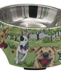Tazón para mascotas Certified International 28260 Dog Park