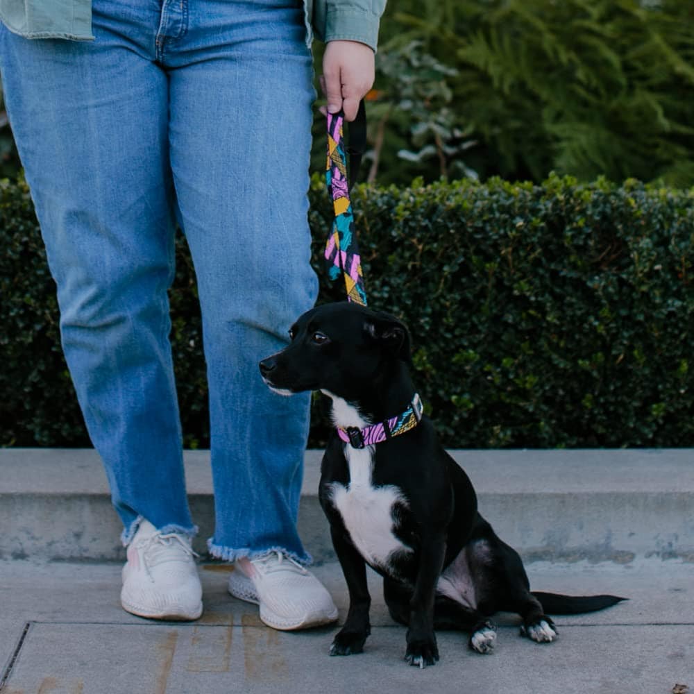 Correa para Perros Pesadilla Antes de Navidad Vestido de - Imagen 4