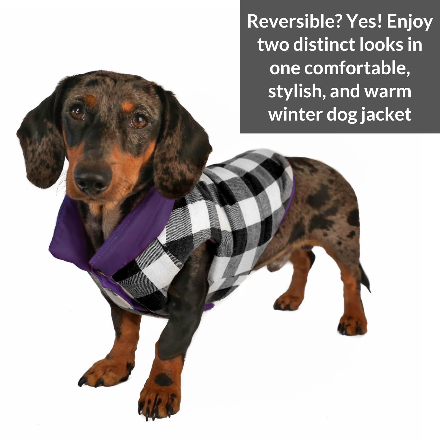 Abrigo para Perro DJANGO Puffer y Reversible para Clima - Imagen 7