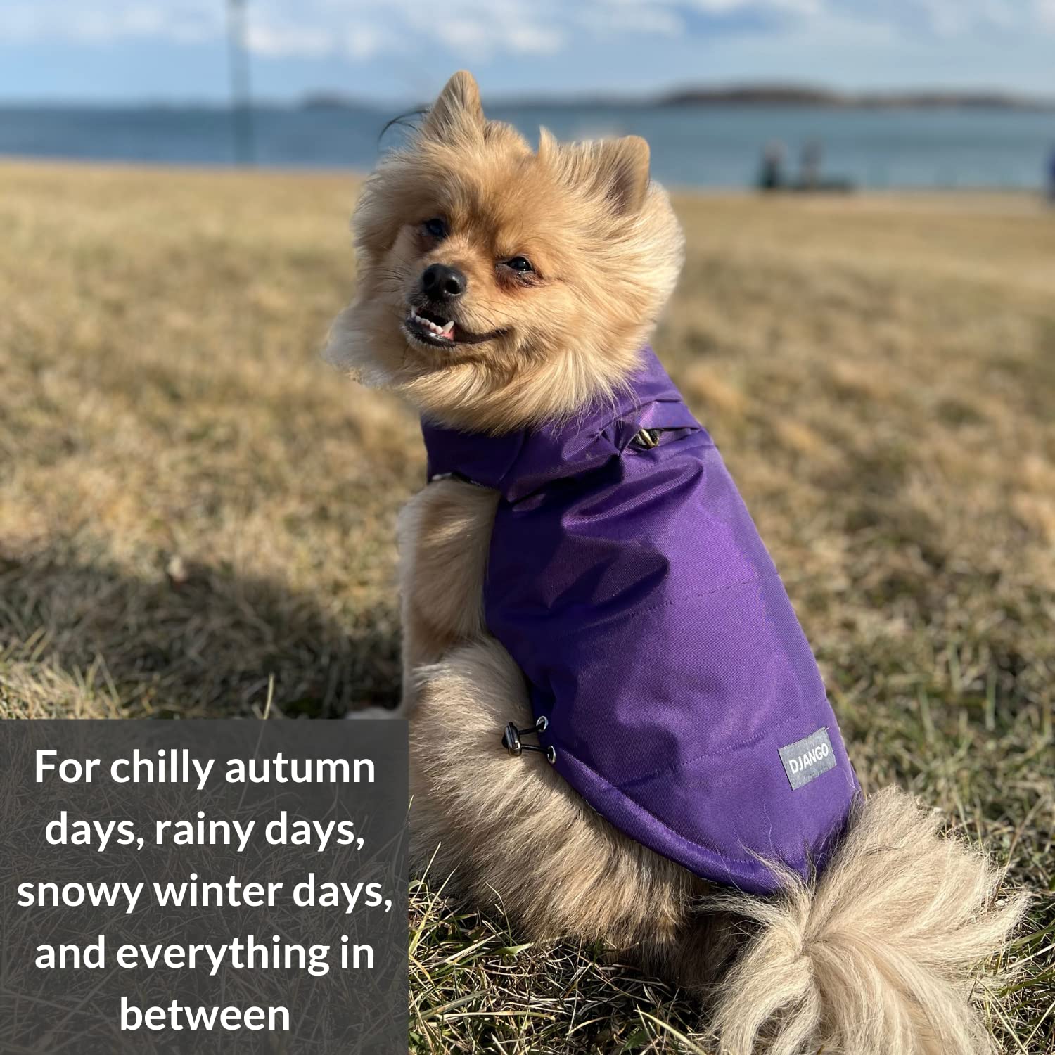 Abrigo para Perro DJANGO Puffer y Reversible para Clima - Imagen 8