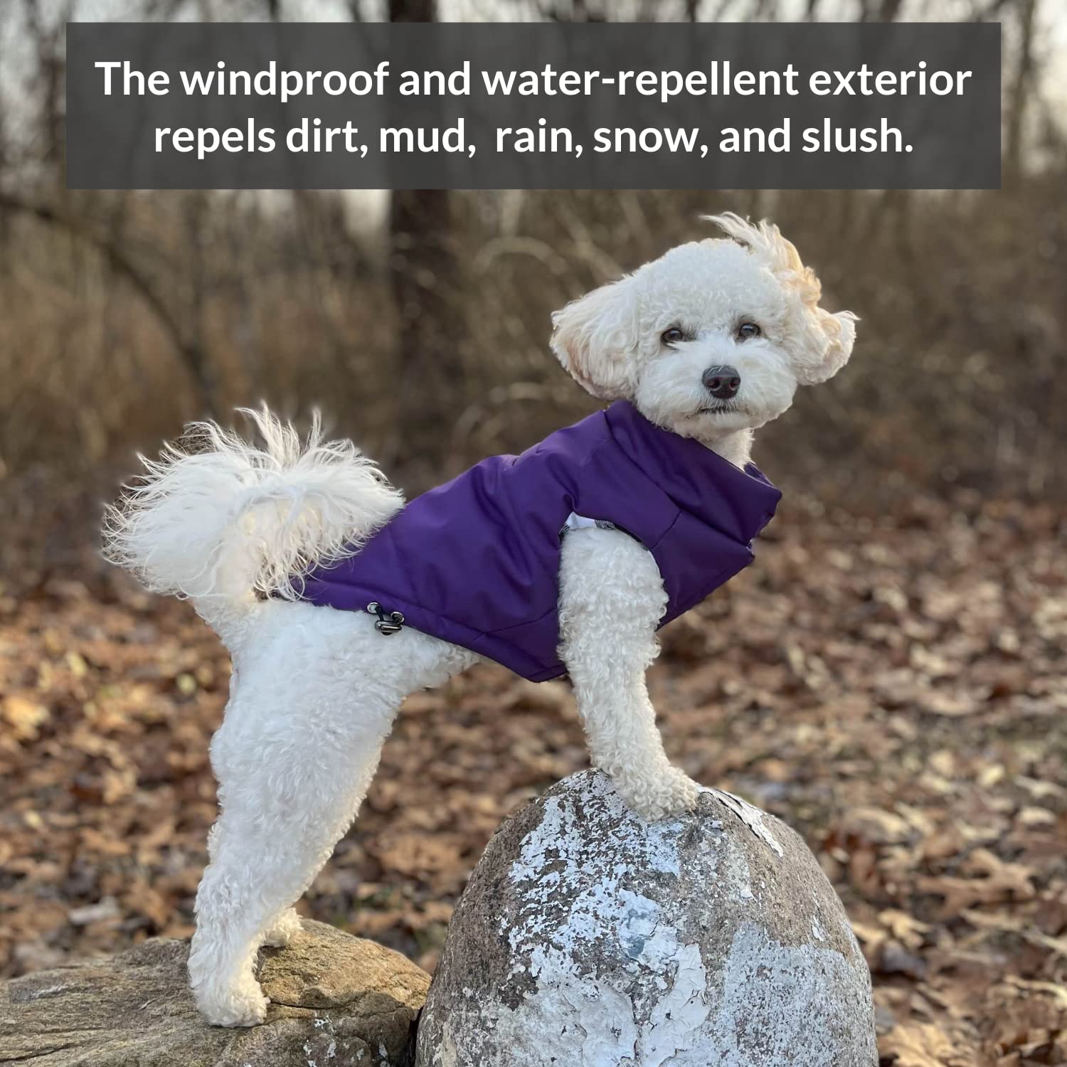 Abrigo para Perro DJANGO Puffer y Reversible para Clima - Imagen 4