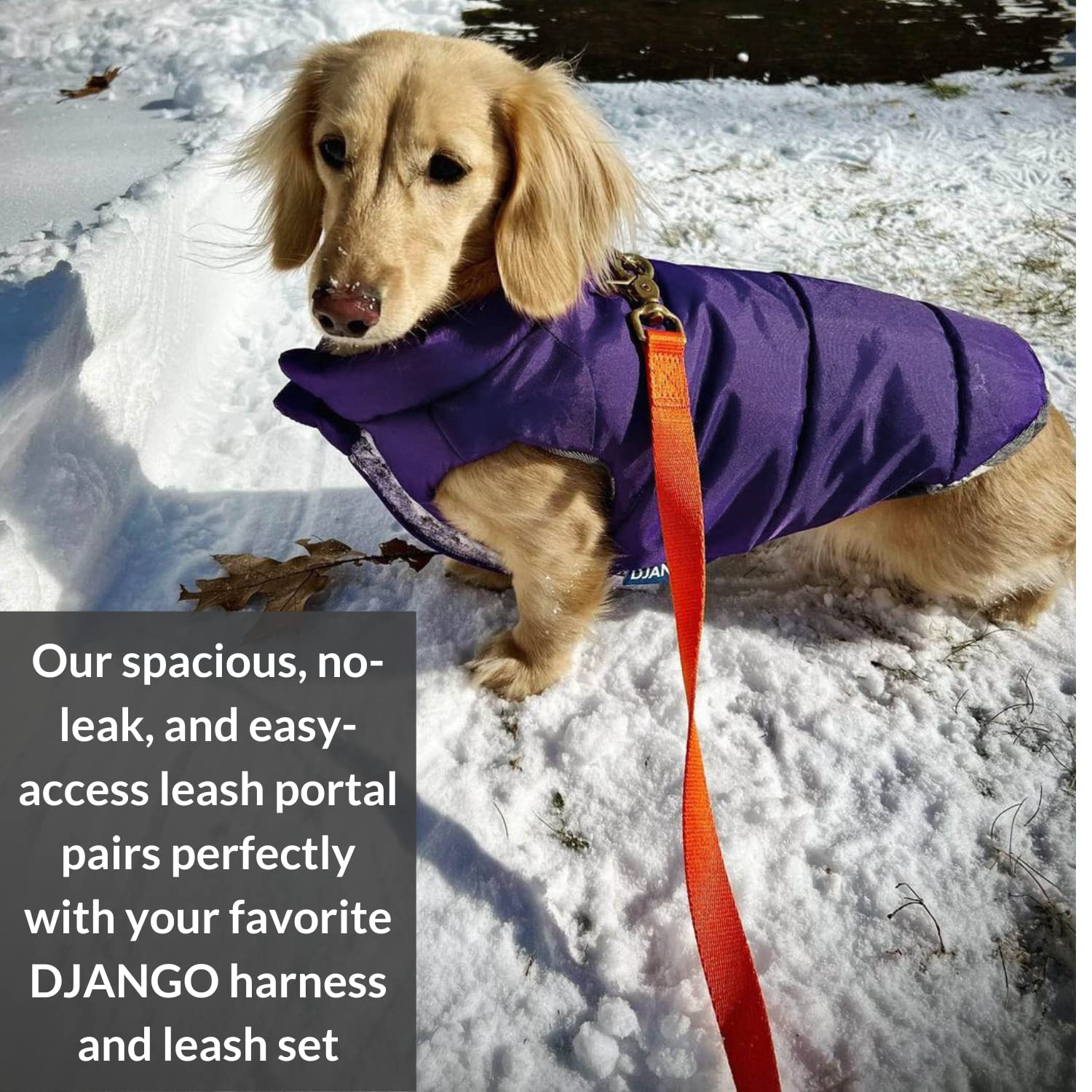 Abrigo para Perro DJANGO Puffer y Reversible para Clima - Imagen 9