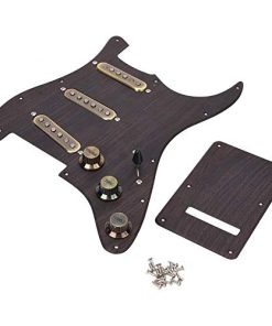 Conjunto de Golpeador y Placa Trasera Cargados con