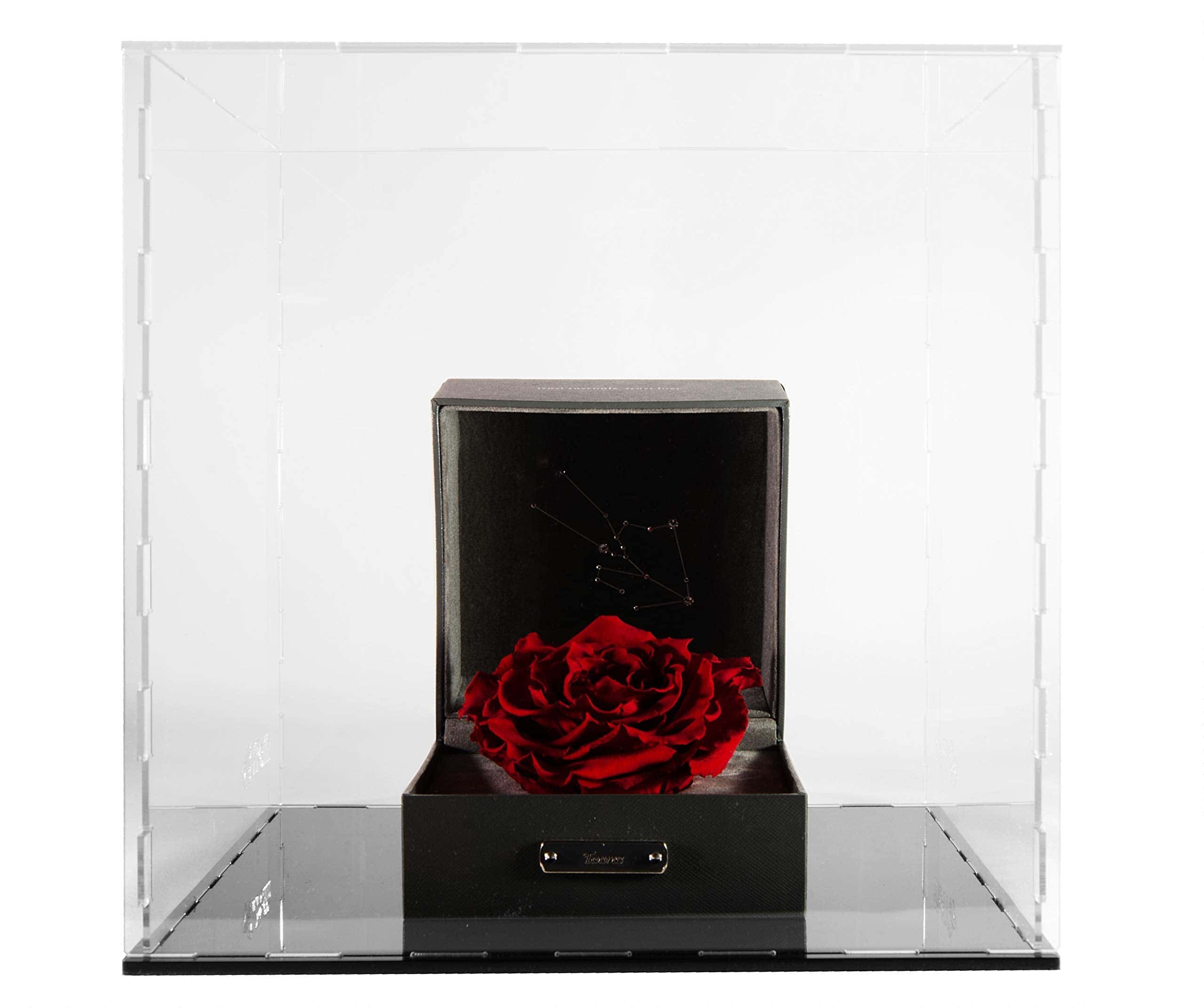 Estuche de Exhibición de Acrílico Transparente- Caja de - Imagen 7