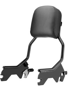 WeiSen Respaldo de pasajero desmontable de altura estándar