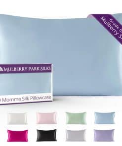 Funda de Almohada de Seda 100% Mulberry Park -Azul