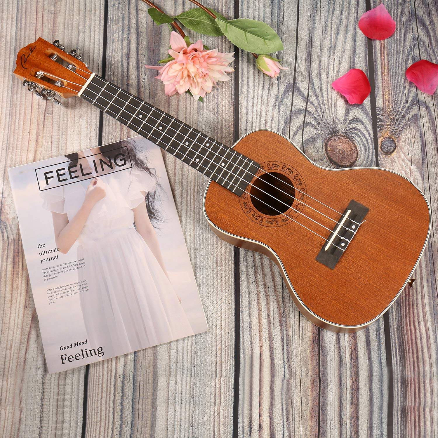 Ukelele Ranch Concert 23 pulgadas Instrumento clásico con - Imagen 5