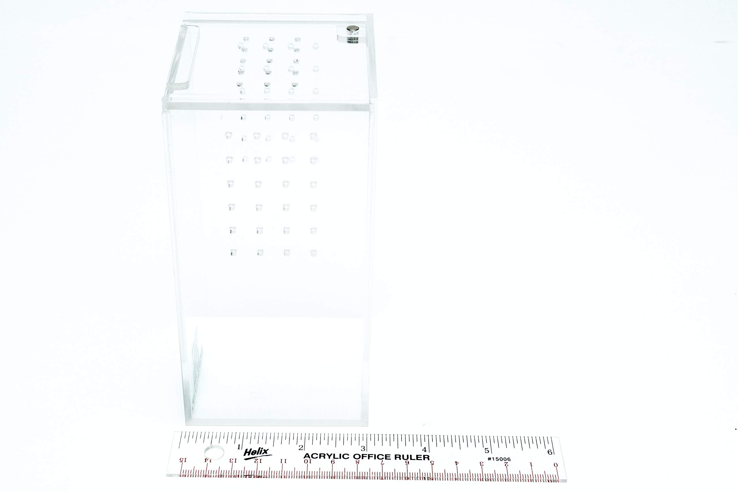 BioactiveFX 0.23 Galón Acuario Terrario de Acrílico - Imagen 6