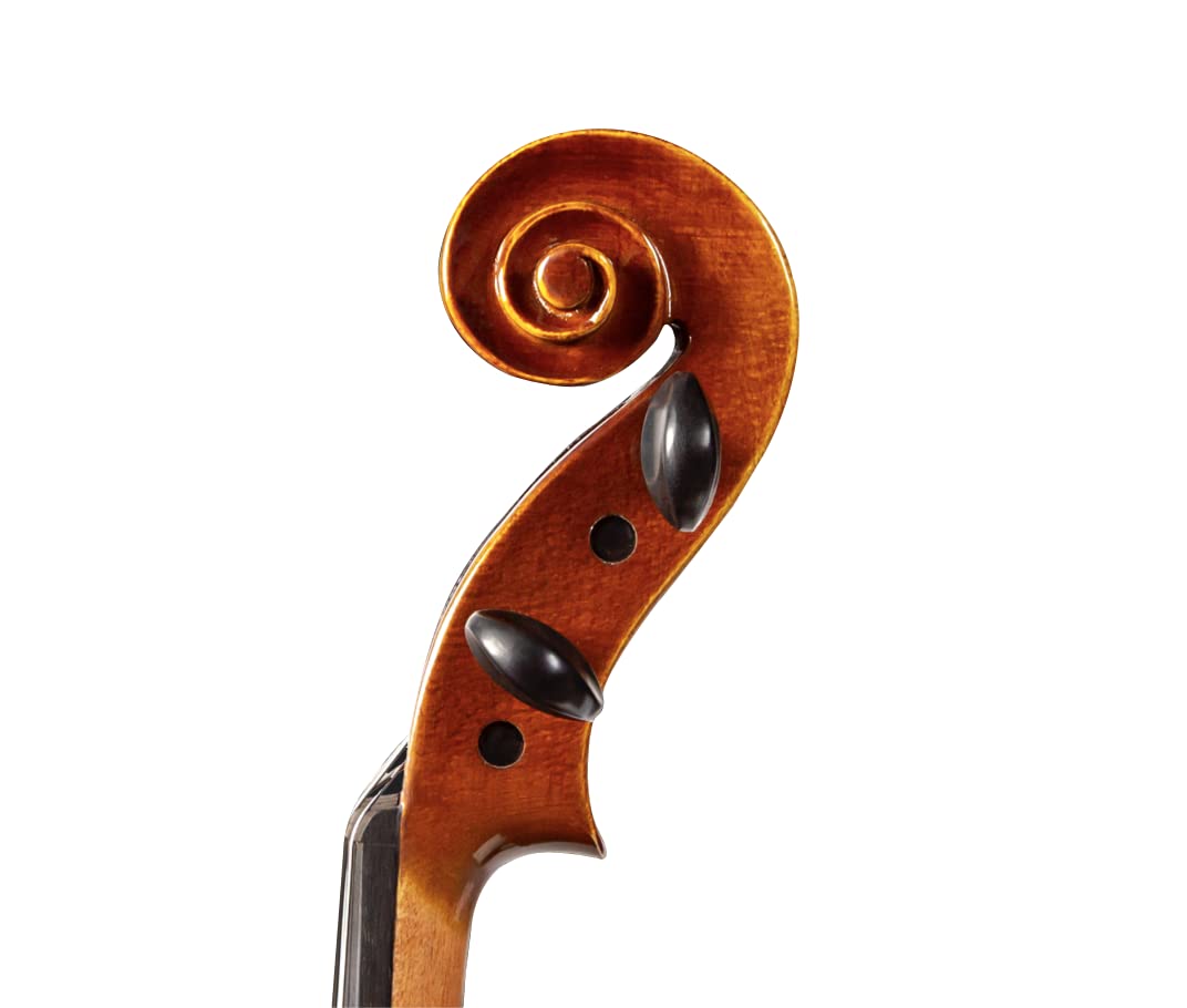 Violín D Z Strad LC101 con estuche, reposacabezas, arco y - Imagen 4
