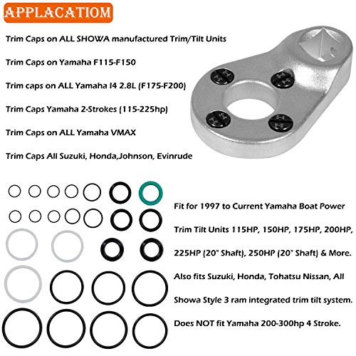 Kit de Sellos de Potencia de Elevación Rápida 115225FS para - Imagen 3