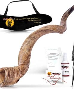 Conjunto de Shofar Israelí ProShofar, Cuerno de Kudu