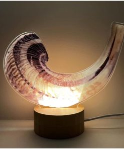 Shofar Kosher de Kudu de Israel, Certificado oficialmente