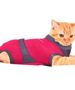 Traje de recuperación postoperatorio para gatos MAXX -