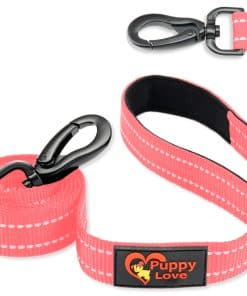 Correa Reflectante de Puppy Love para Perros Medianos y