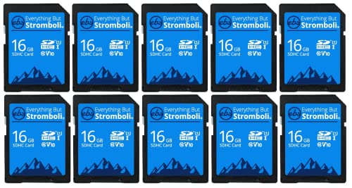 Tarjeta SD de 16GB Everything But Stromboli (Paquete de 10)