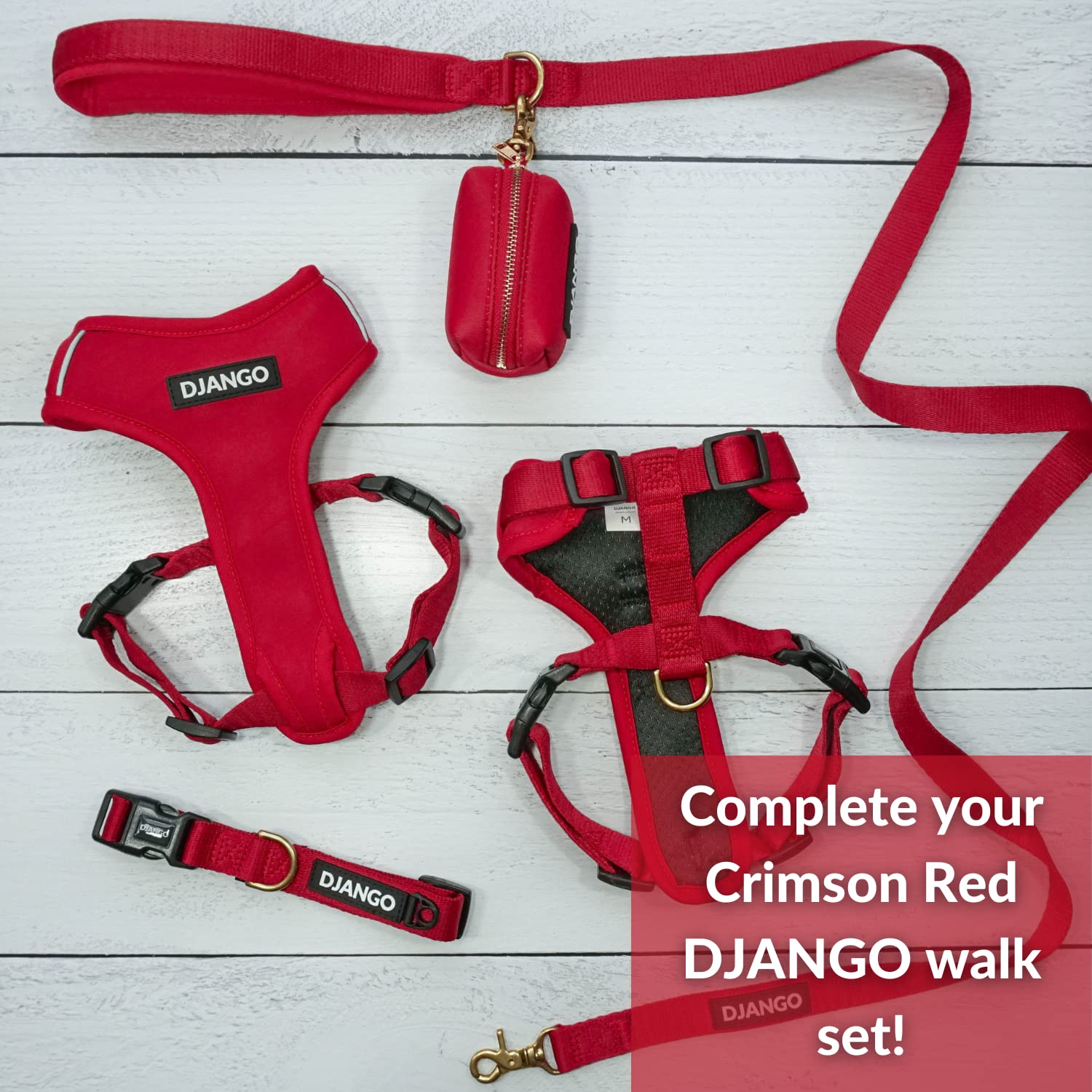 Correa para Perros de Aventura DJANGO - Resistente, Cómoda - Imagen 8