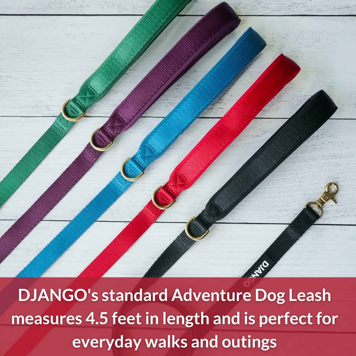 Correa para Perros de Aventura DJANGO - Resistente, Cómoda - Imagen 3