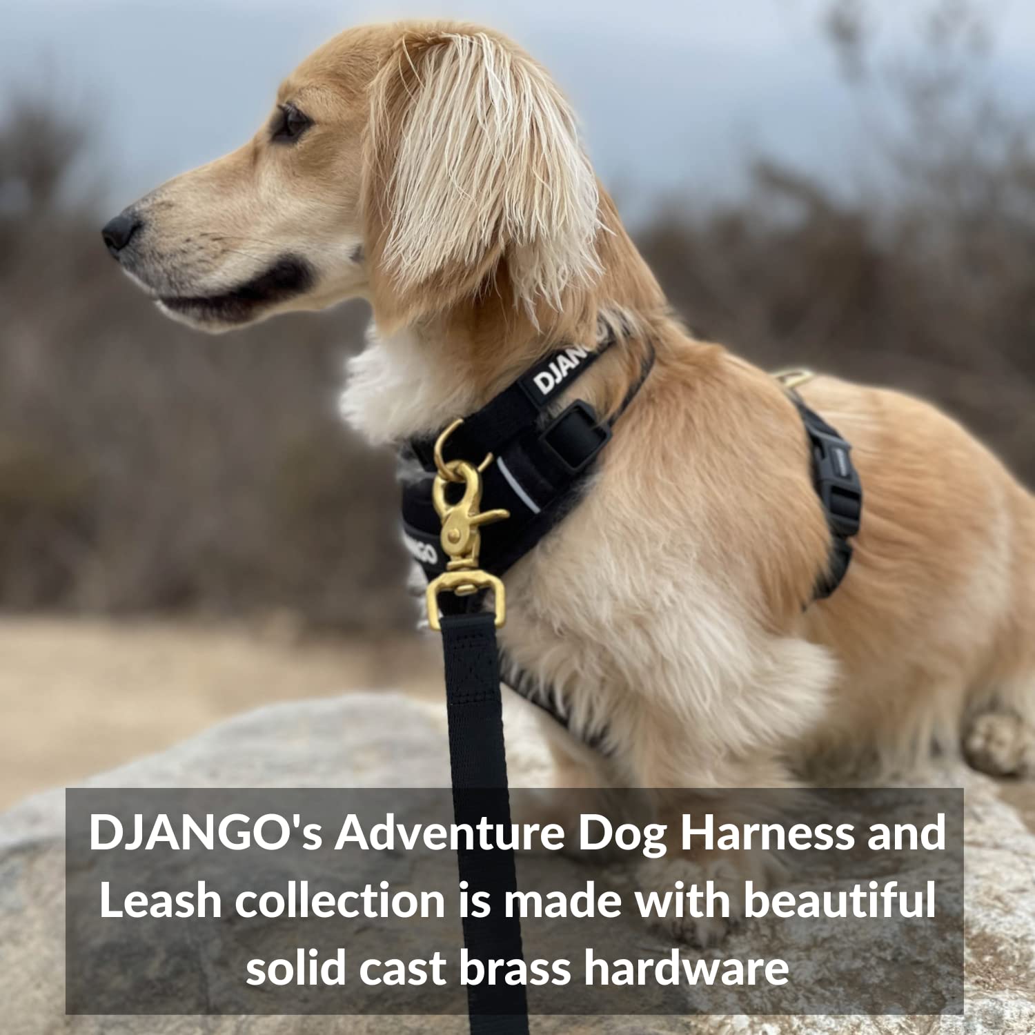 Correa para Perro de Aventura DJANGO - Resistente, Cómoda y - Imagen 7