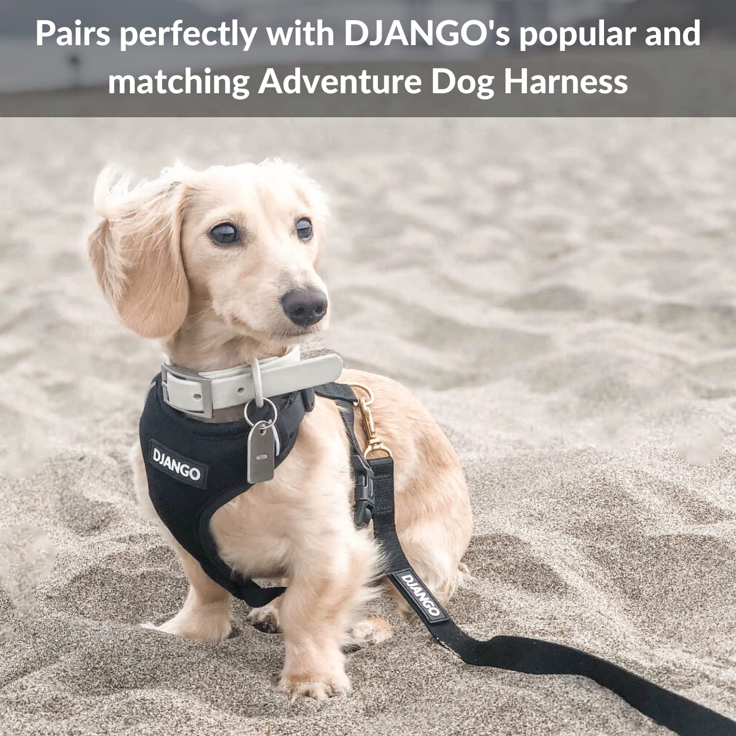 Correa para Perro de Aventura DJANGO - Resistente, Cómoda y - Imagen 5